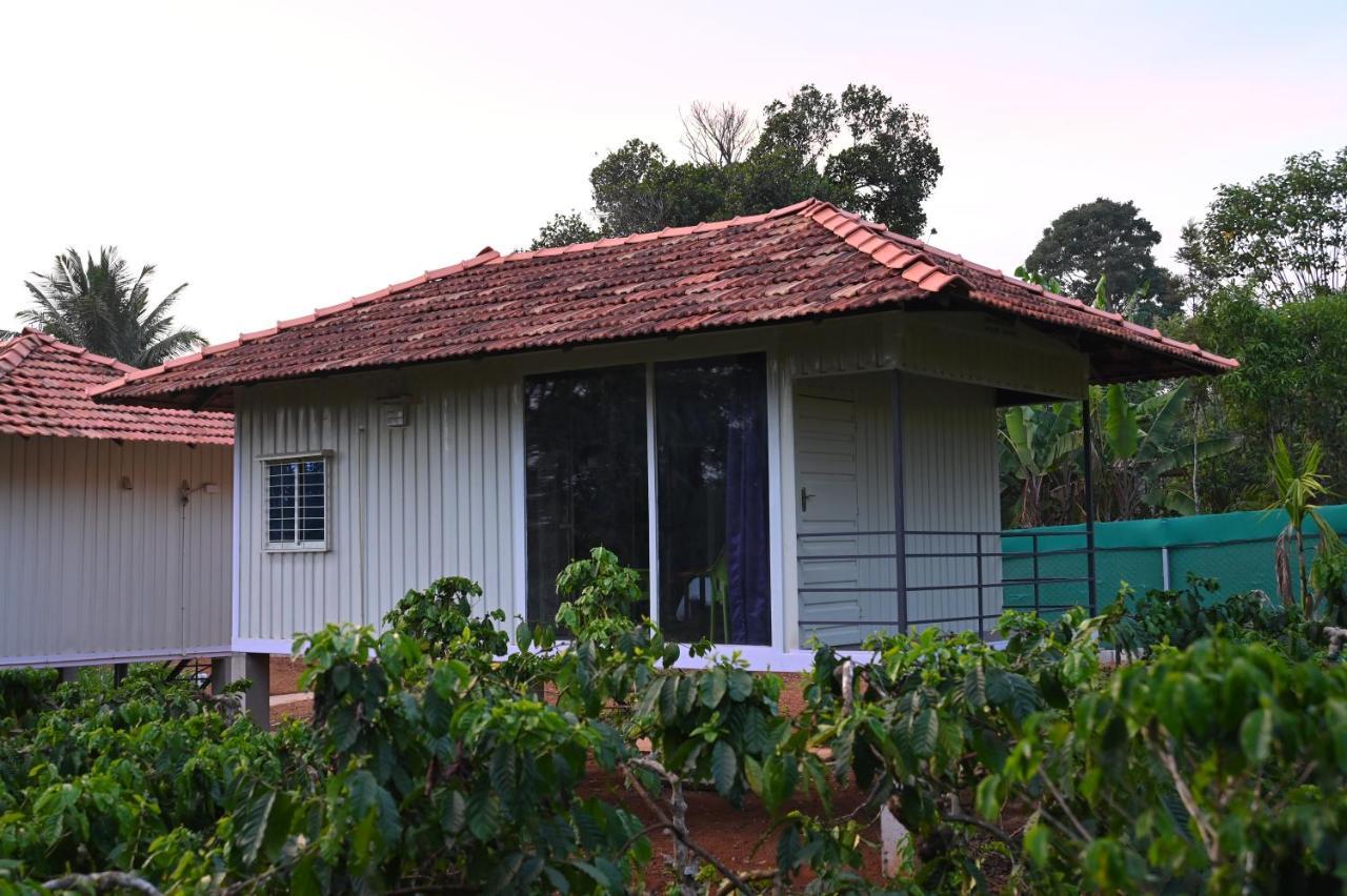 סאקלשפור Vigo Homes מראה חיצוני תמונה