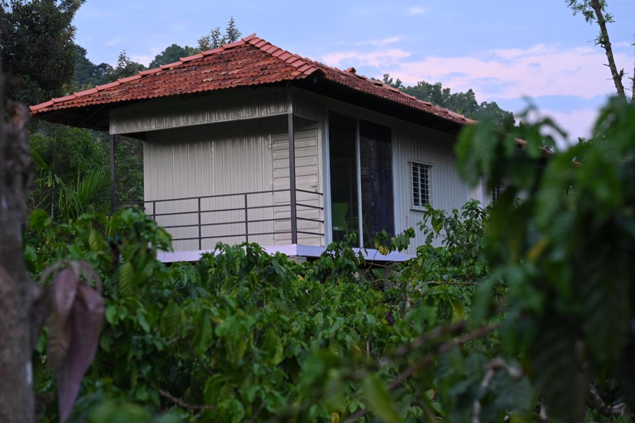 סאקלשפור Vigo Homes מראה חיצוני תמונה